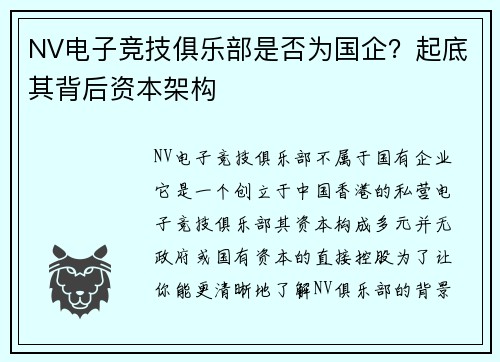 NV电子竞技俱乐部是否为国企？起底其背后资本架构